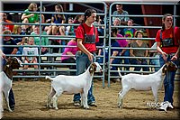 LCFair2016-5380.jpg