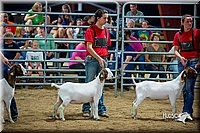 LCFair2016-5381.jpg