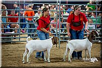 LCFair2016-5382.jpg