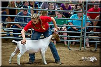 LCFair2016-5383.jpg