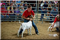 LCFair2016-5384.jpg