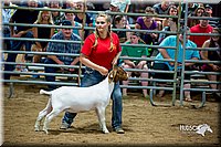 LCFair2016-5386.jpg