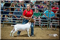 LCFair2016-5387.jpg