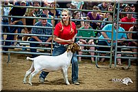 LCFair2016-5388.jpg