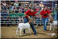 LCFair2016-5389.jpg