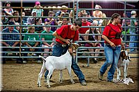 LCFair2016-5390.jpg