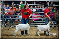 LCFair2016-5391.jpg