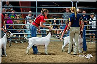 LCFair2016-5392.jpg