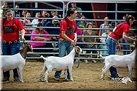 LCFair2016-5393.jpg