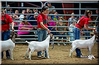 LCFair2016-5394.jpg