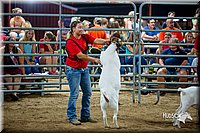 LCFair2016-5395.jpg