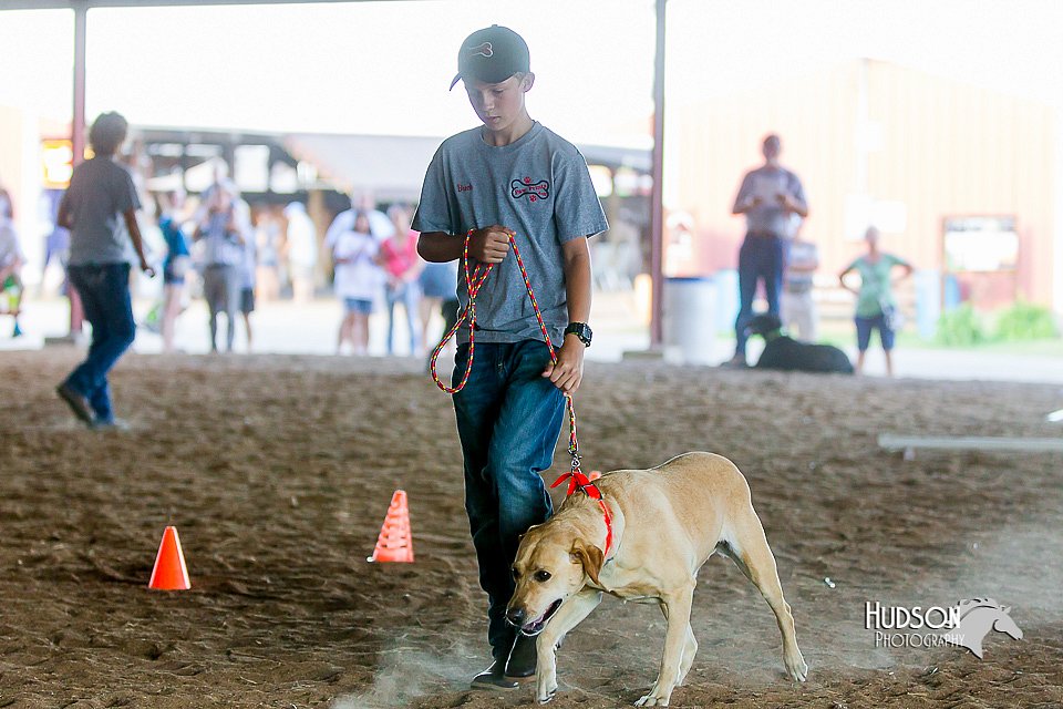 LCFair2016-4877.jpg