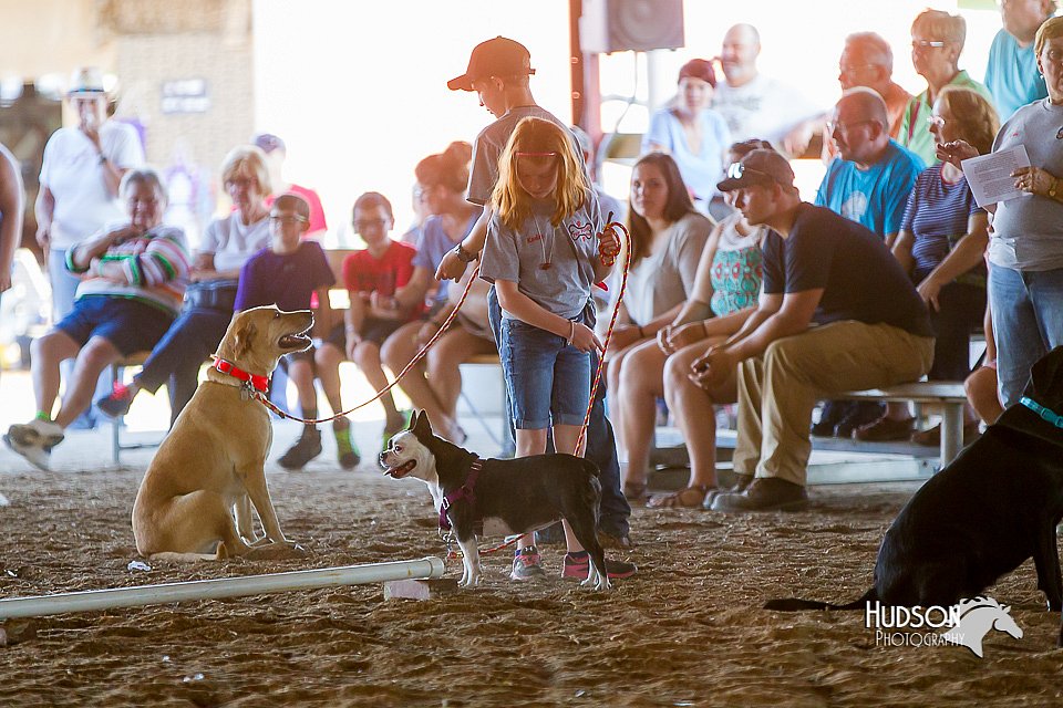 LCFair2016-4887.jpg