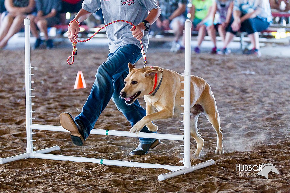 LCFair2016-4911.jpg