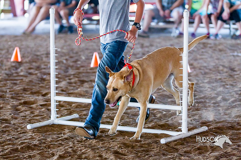 LCFair2016-4912.jpg