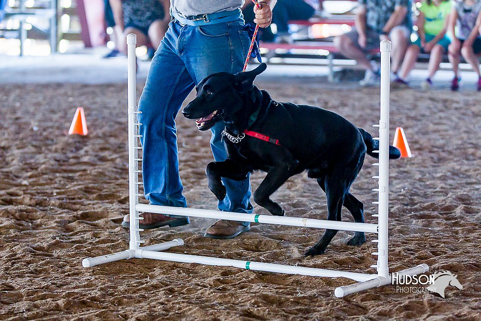 LCFair2016-4914.jpg