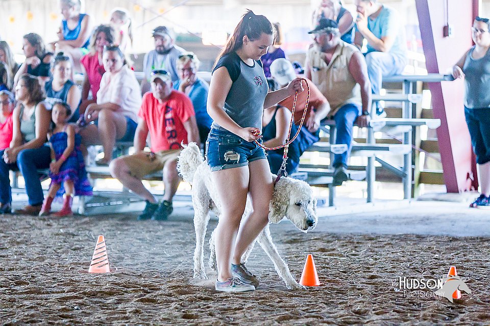 LCFair2016-4915.jpg