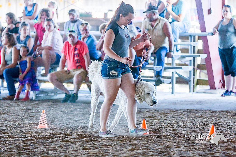 LCFair2016-4916.jpg