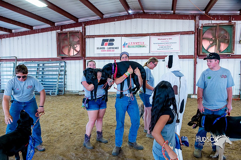 LCFair2016-4919.jpg