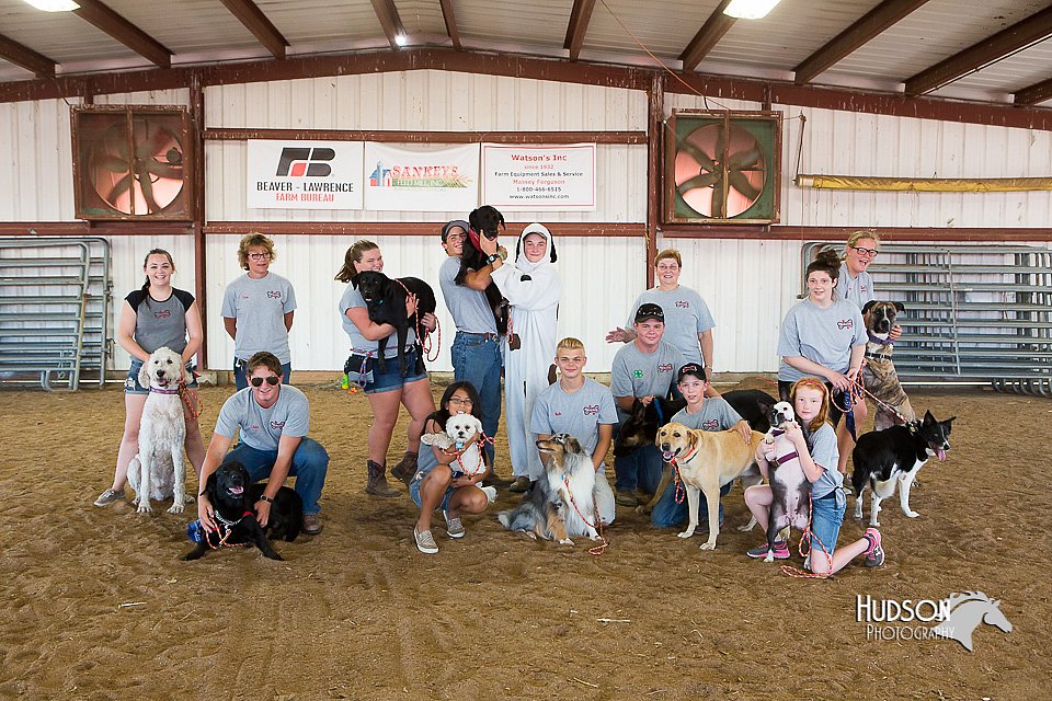 LCFair2016-4920.jpg