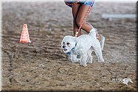 LCFair2016-4859.jpg