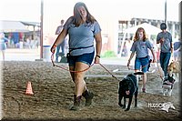 LCFair2016-4870.jpg
