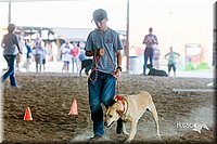 LCFair2016-4876.jpg