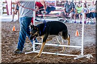LCFair2016-4905.jpg