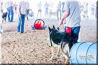 LCFair2016-4907.jpg