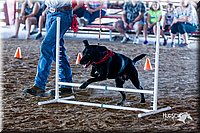 LCFair2016-4908.jpg