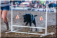LCFair2016-4909.jpg