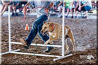 LCFair2016-4911.jpg
