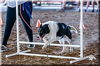 LCFair2016-4913.jpg