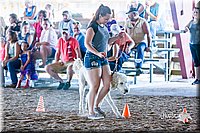 LCFair2016-4915.jpg