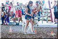 LCFair2016-4916.jpg