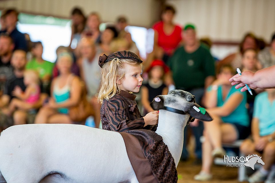 LCFair2016-7233.jpg
