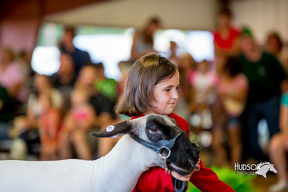 LCFair2016-7280.jpg
