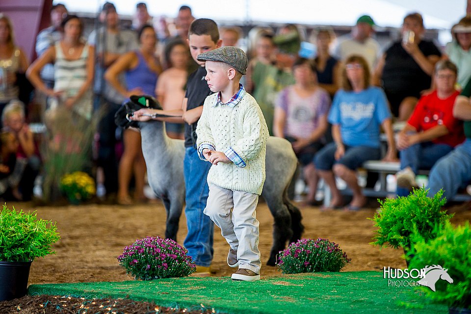 LCFair2016-7314.jpg