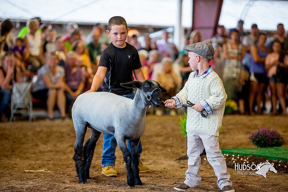LCFair2016-7323.jpg