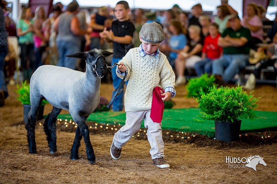LCFair2016-7335.jpg