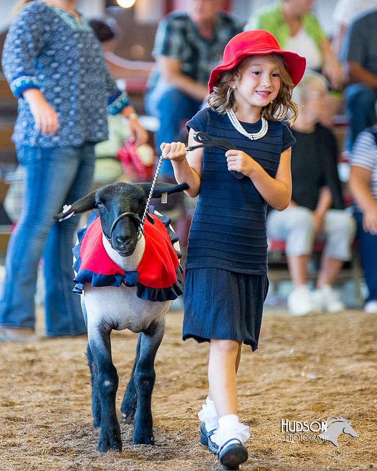 LCFair2016-7341.jpg
