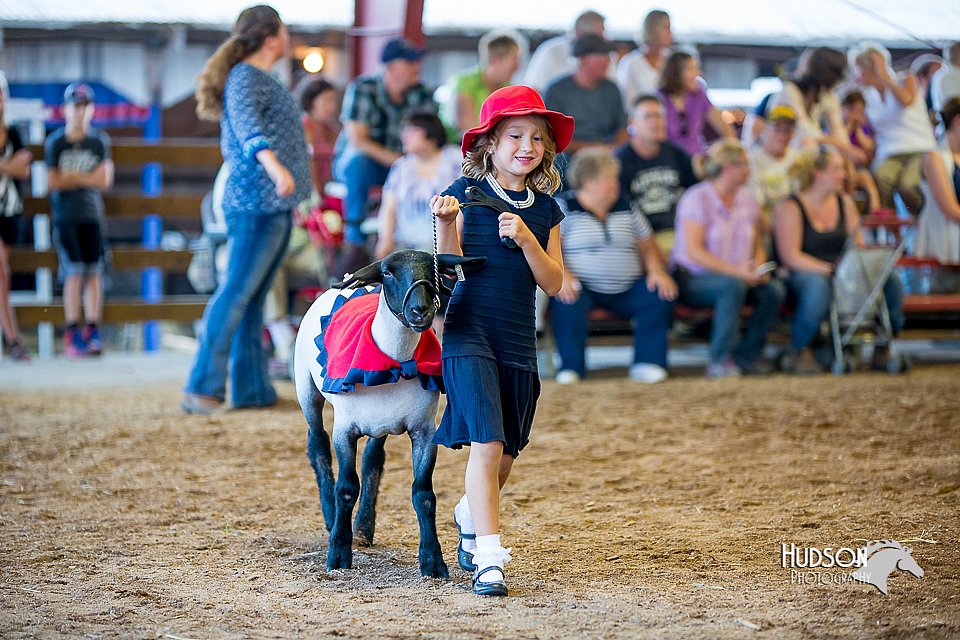 LCFair2016-7342.jpg