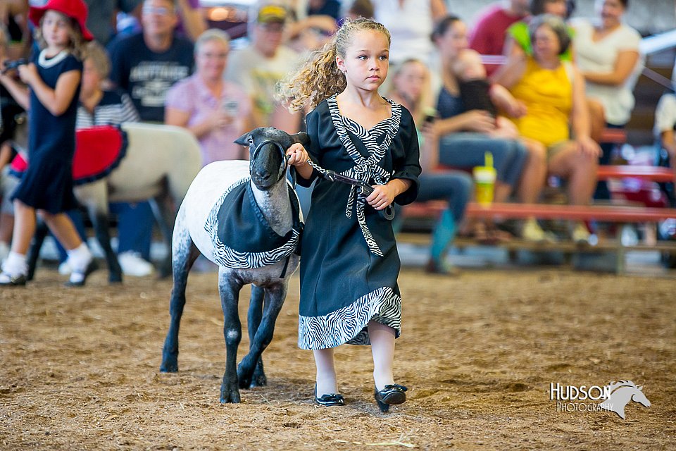 LCFair2016-7357.jpg