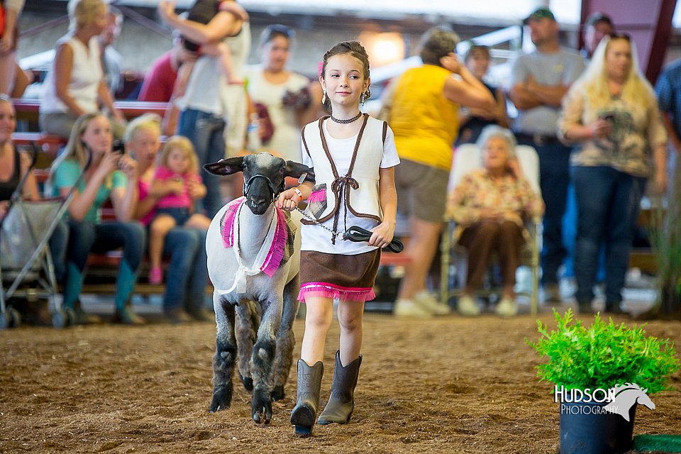LCFair2016-7362.jpg
