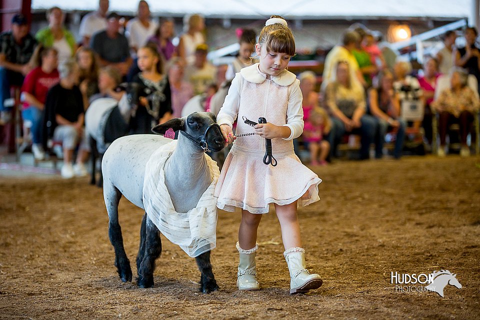 LCFair2016-7380.jpg