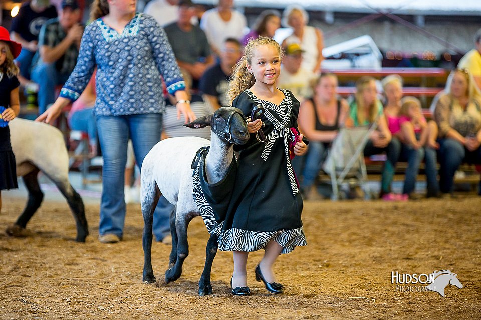 LCFair2016-7425.jpg