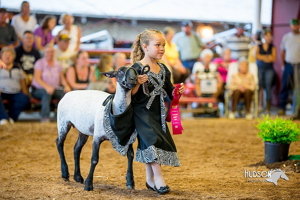 LCFair2016-7426.jpg