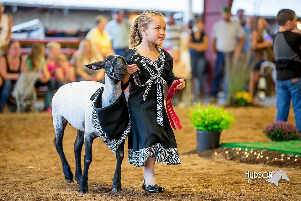 LCFair2016-7427.jpg