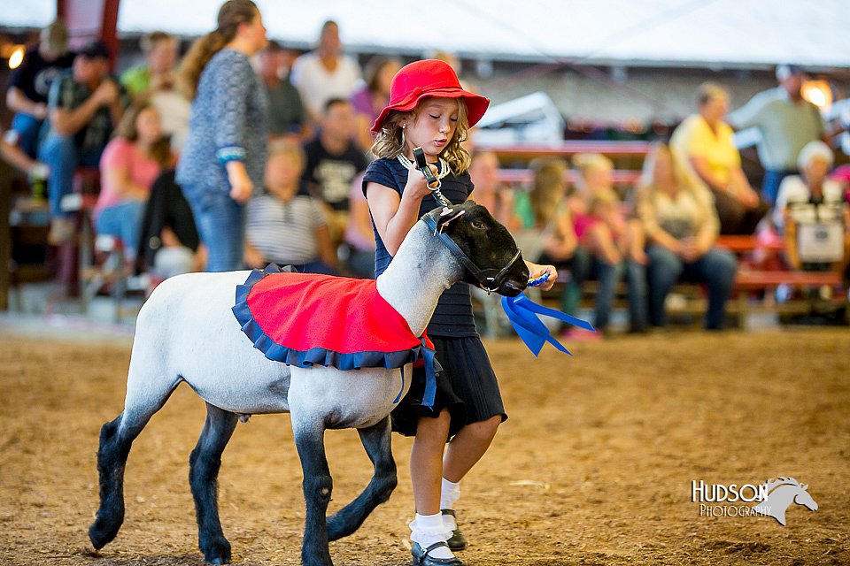 LCFair2016-7428.jpg