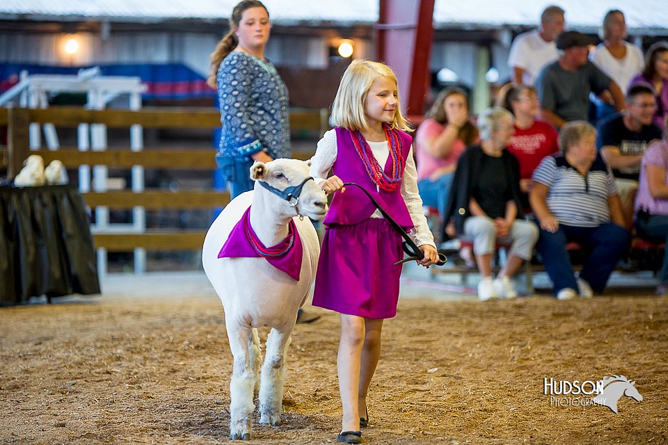 LCFair2016-7429.jpg